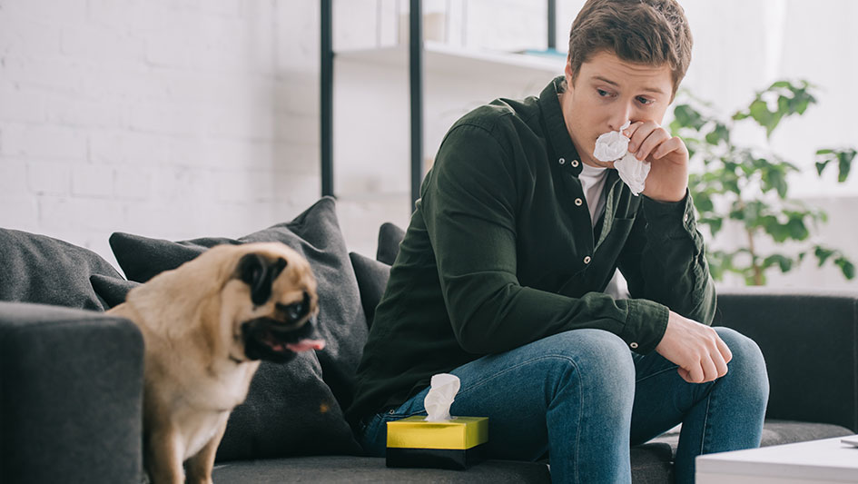 Installing an air purifier is one of the smartest methods to improve your house’s indoor air quality. Learn more about the three smartest products. 